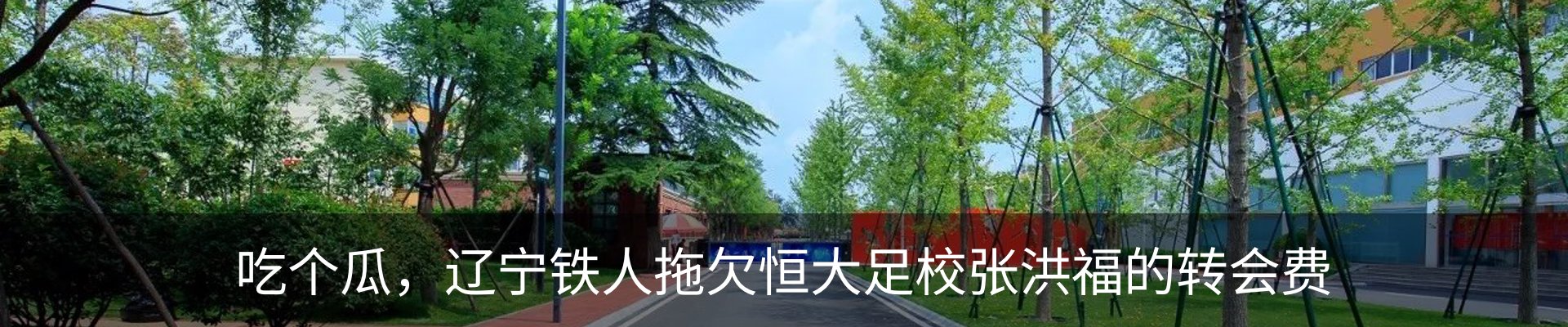 新闻动态