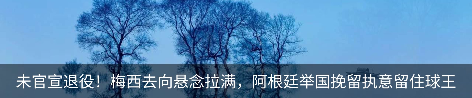 新闻动态