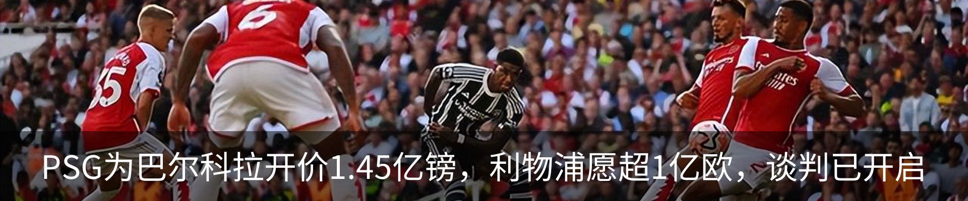 新闻动态